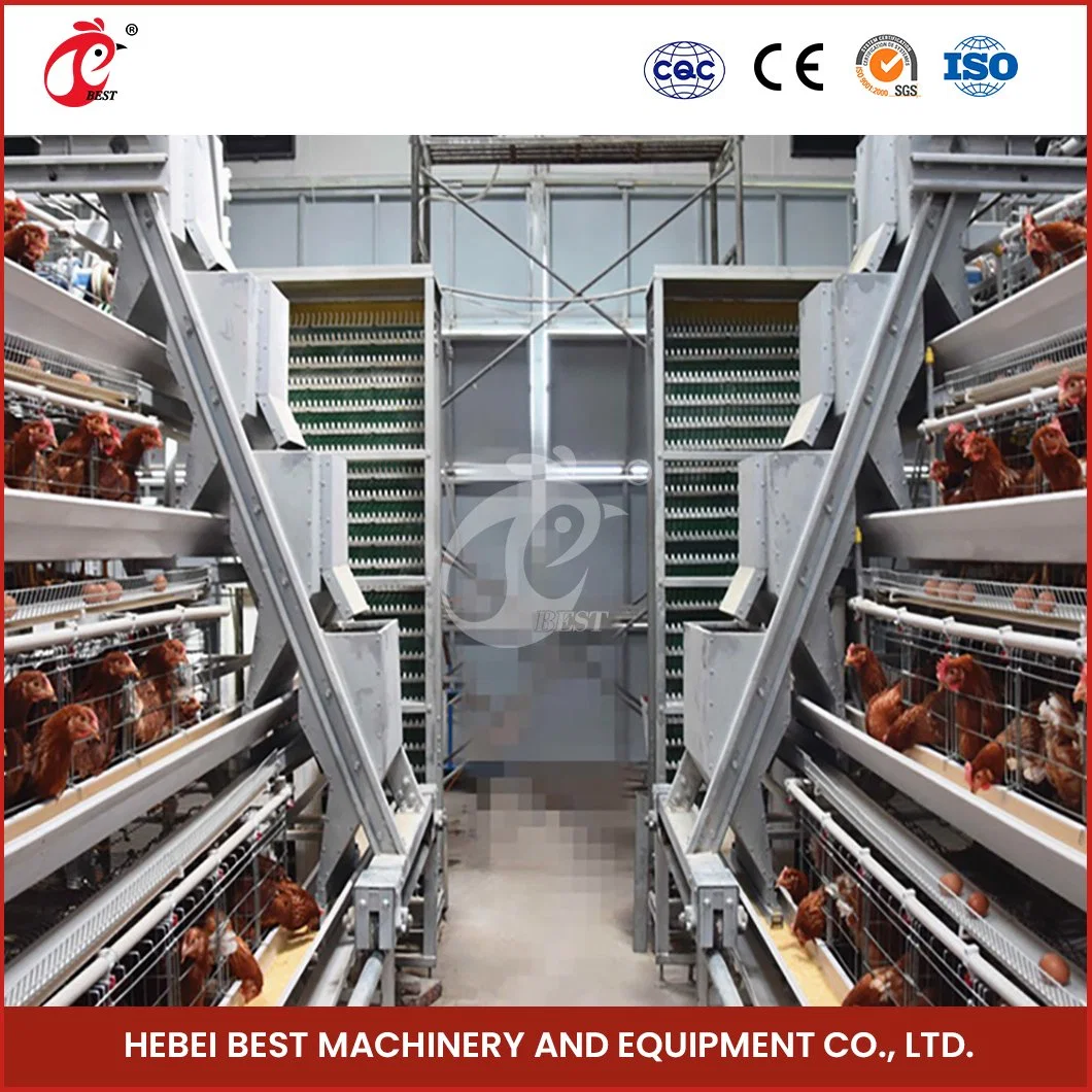 Bestchickencage Ordinary Type Layer Cage China Modern Chicken Layer House Supplier OEM Customized Applicable Home Use 4 Tier Chicken Layer Battery Cage