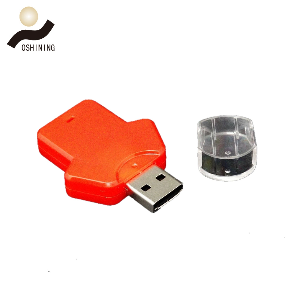 Cute Perfect Plastic USB Drives in China (USB-034)