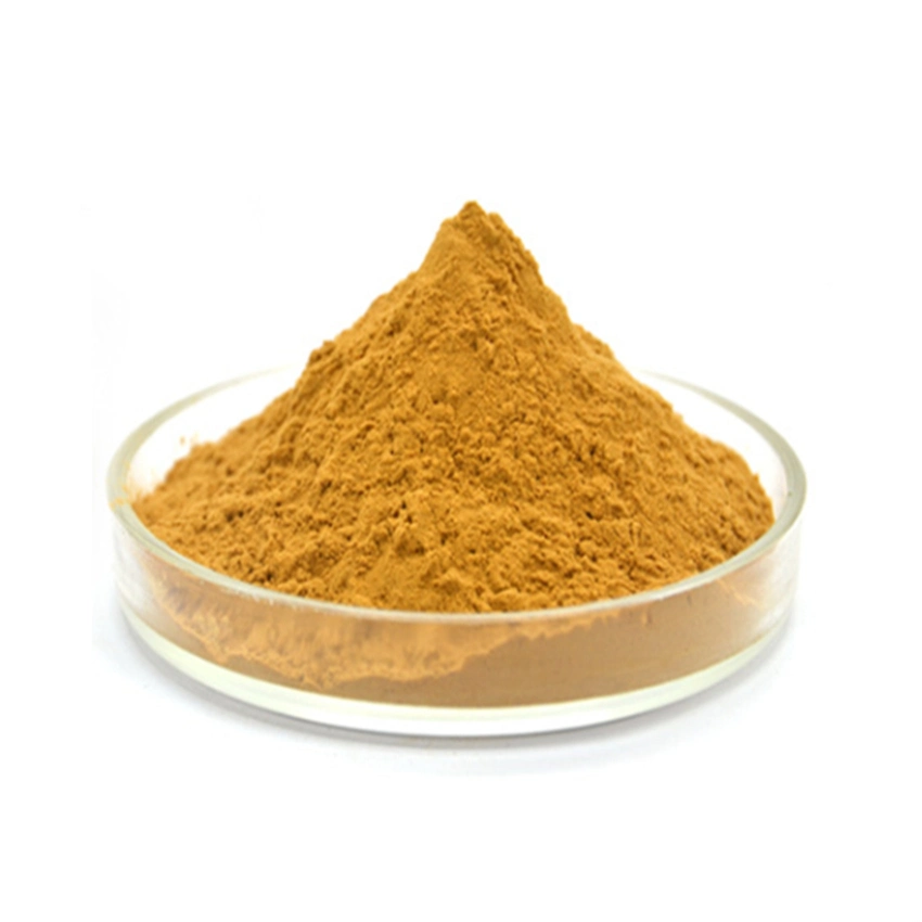 Enhance Immunity Honey Suckle Lonicera Japonica Powder Wild Dried Honeysuckle Flowers Extract.