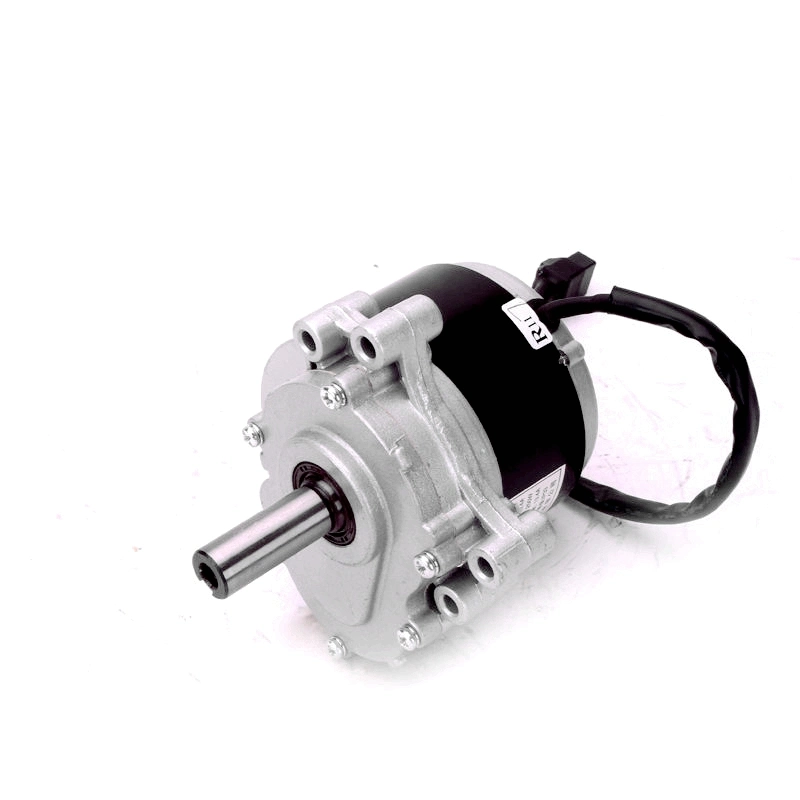 120rpm 160rpm 75rpm Hot Sale DC 24V 250W Electric Vehicle Motor