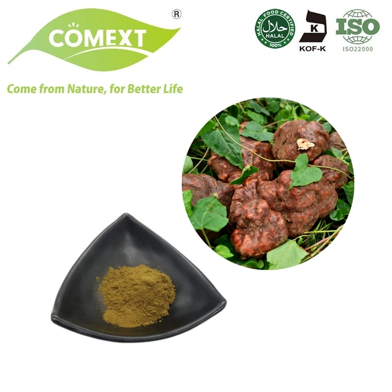 Comext Chinese Herb Extract He Shou Wu Extract