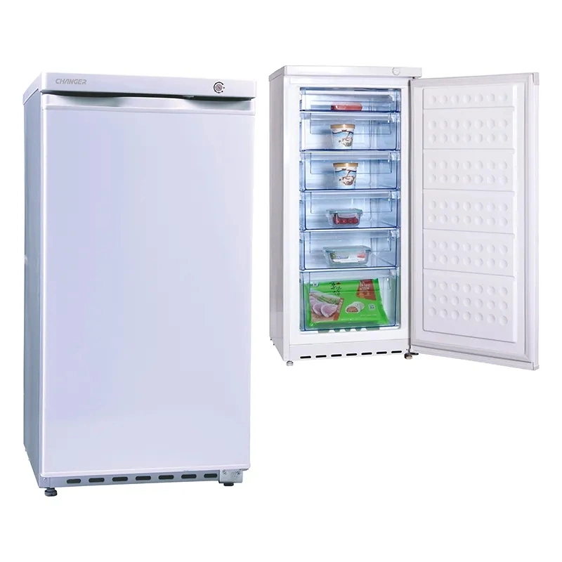 275L 12V Vertical Deep Upright Refrigerator