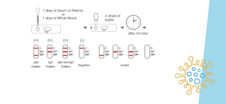 Dispositif de test d'anticorps IgG/IGM de diagnostic AG rapide SingClean pour l'infectieux Maladie