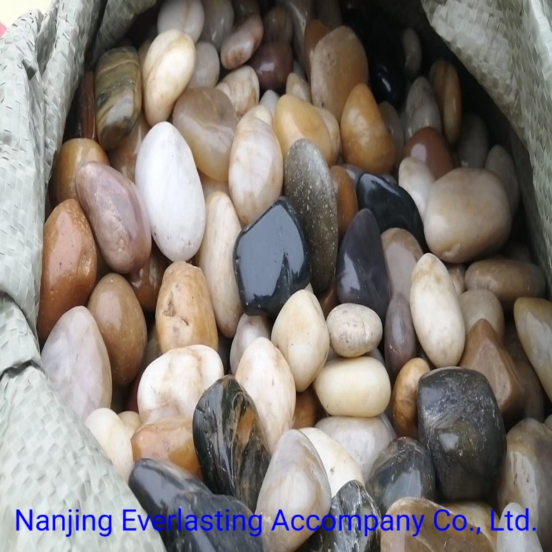 Aquarium Decorative Rocks China Polished Mix Colors River Stone