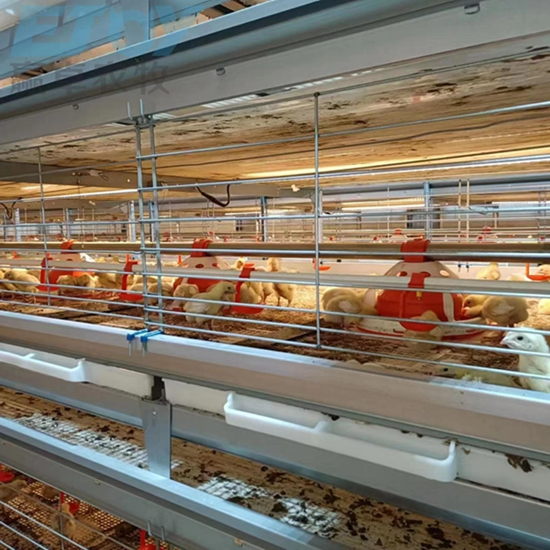 Landwirtschaftliche Maschinen Ausrüstung Vogelkäfig H Rahmen Broiler Fütterungskäfig System