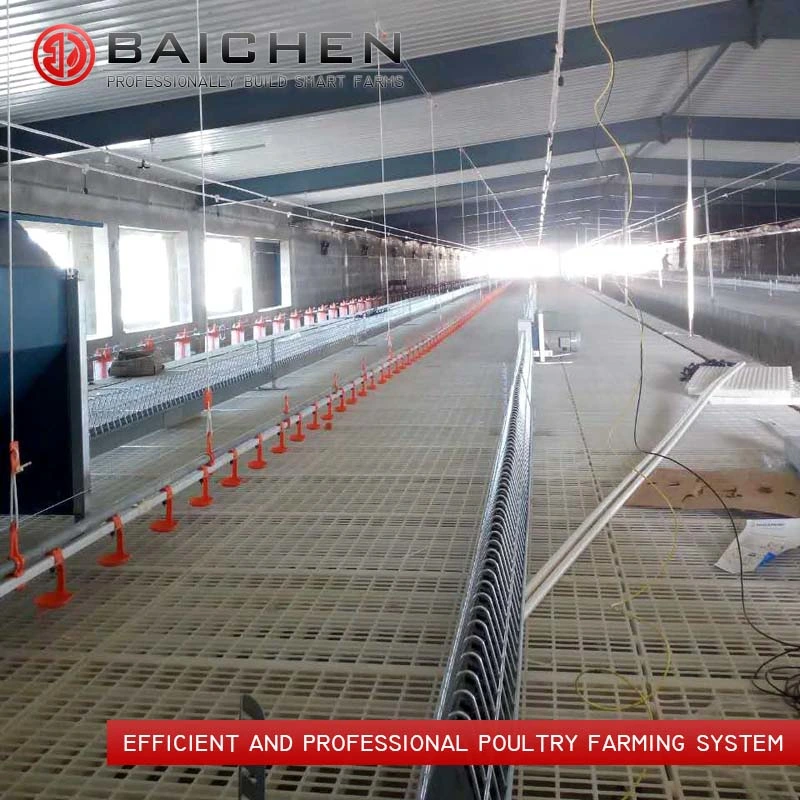 Automatic Poultry Breeder Chicken Feeder Farm Chain Feeding System