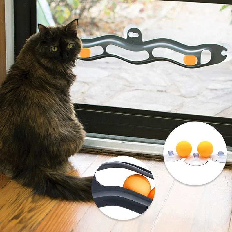 Cat Track Window Suction Cup Scratch Toy Ball Track N' Roll Toy