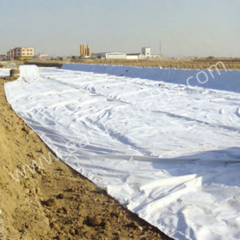 PP Pet Woven Fabrics Geotextile for Tailing Ponds, Port Expansion