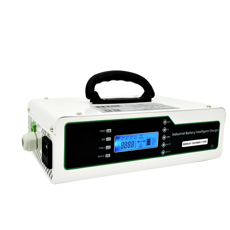 bloc-batterie lithium-ion lifepo4 12 V 24 V 48 V 72 V 96 V. chargeur de batterie