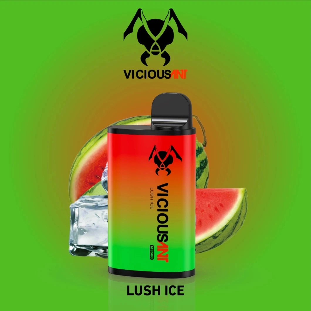 Fast Dilivery Vape E-Liquid cigarrillos 5000bocanadas sabores doble pluma Vape desechables