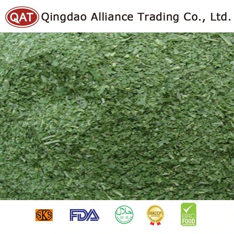 High Quality IQF Vegetables Frozen Green Basil with Wholesale Price for Exporting