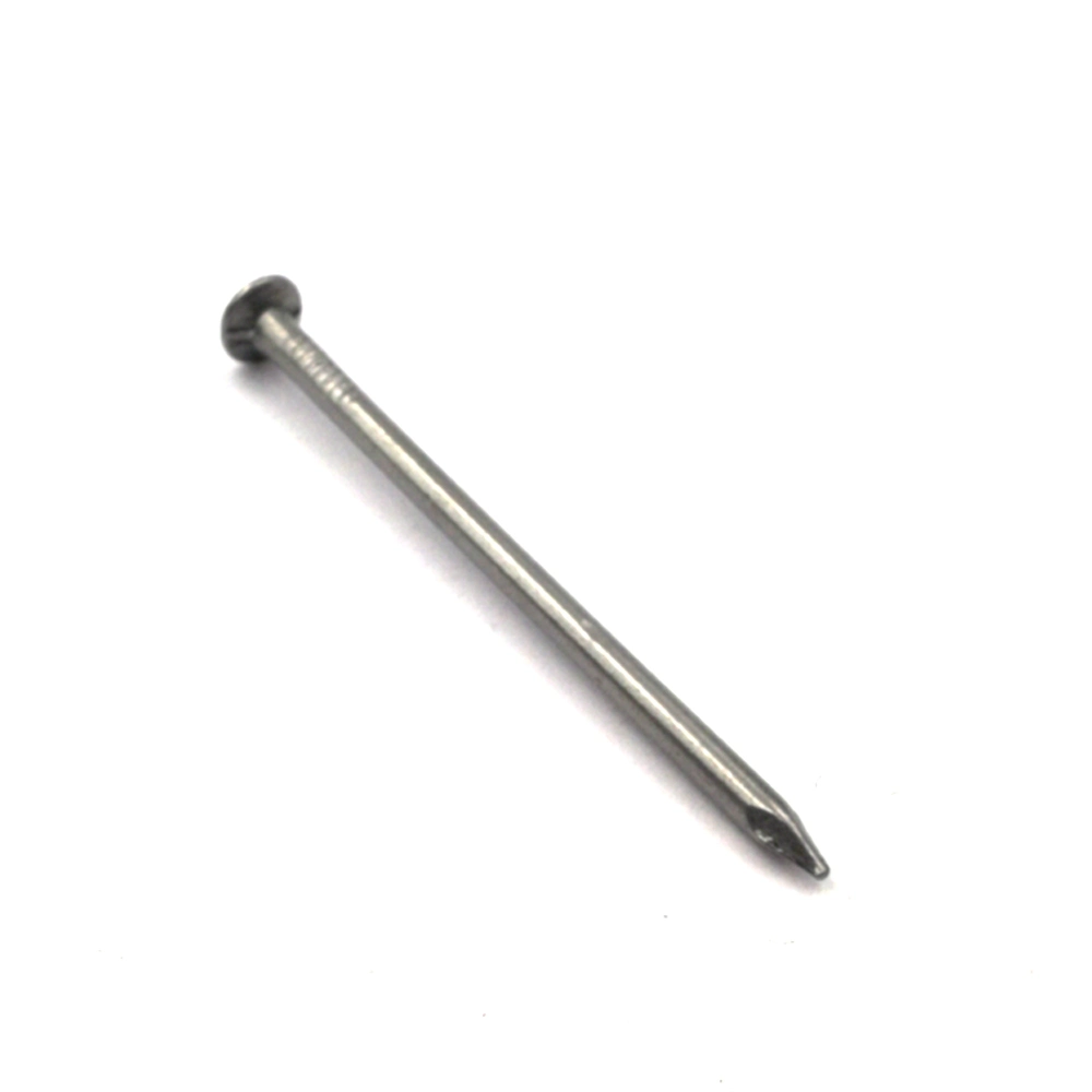 Polished Common Iron Nail