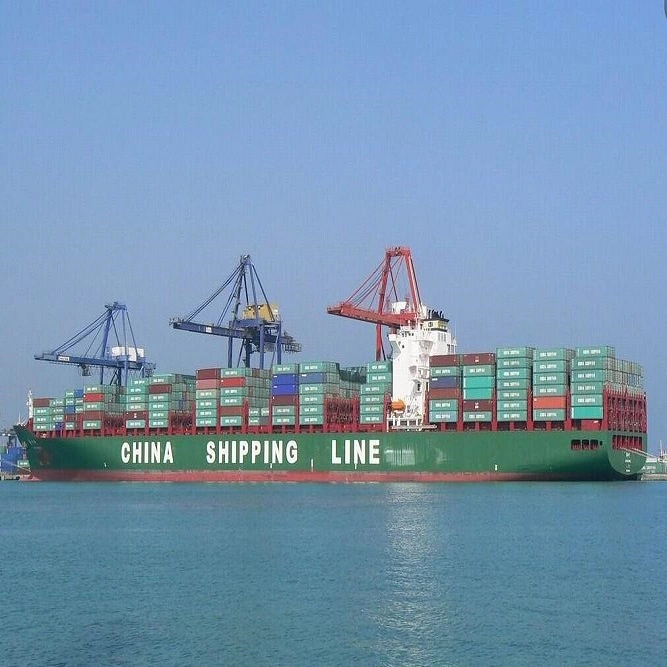 Professional Sea Ocean Agent with Wholesale/Supplier Sea Freight From China to Rotterdam Netherlands