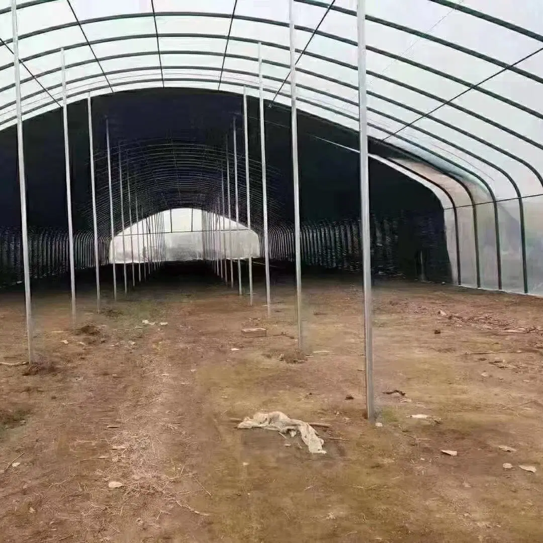 Factory Wholesale/Supplier Vegetable Agricultural Plastic Film Greenhouse for Sale