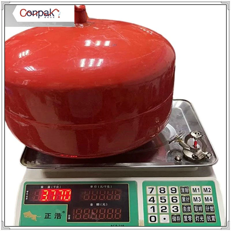 Hot Sales Fire Extinguisher 2kg 3kg 5kg 7kg CO2 Fire Extinguishing System