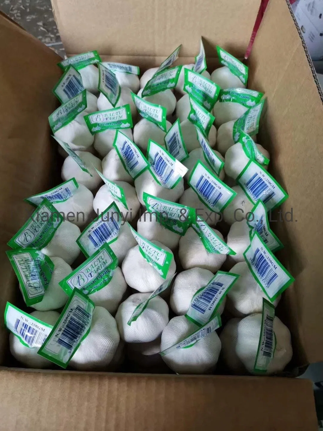 Normal / Pure White Garlic with Best Quality 20kg/ Mesh Bag