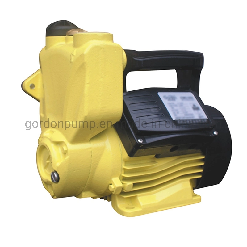 Electric Copper Wire Self-Priming Auto Water Pump with Switch Box