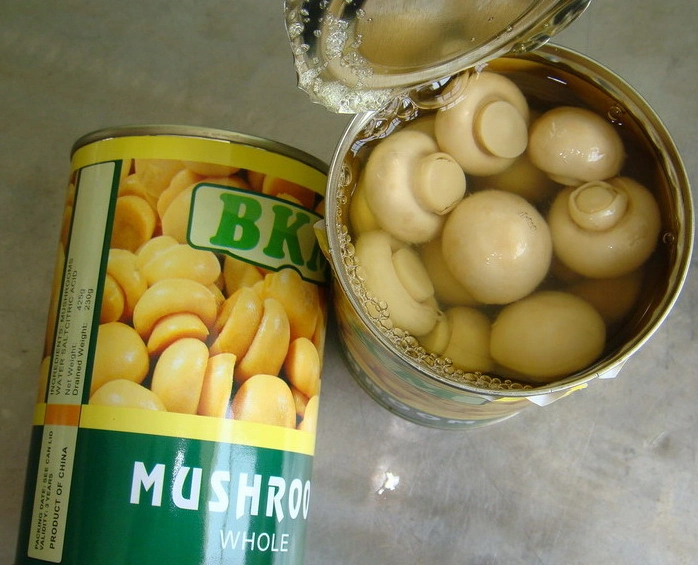 Natural Canned Food Organic Canned Mushroom with Private Label