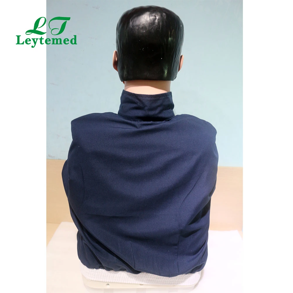 Ltm404b PVC Half Body CPR Training Model (Male) for Medical Teaching