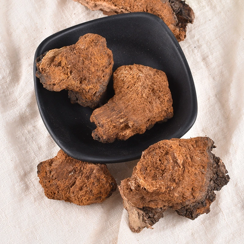 Bai Hua Rong Chinese Medicine Herb Wild Yellow Russian Chaga Mushroom Chaga Chunks