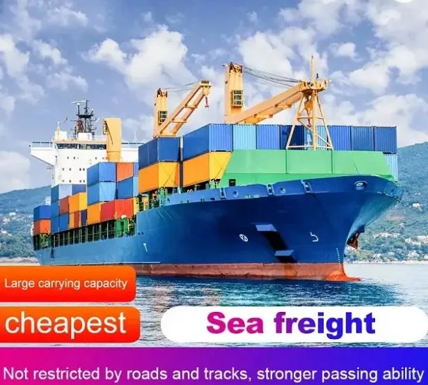 Reefer Container Sea Shipping Wholesale/Supplier Bulk Importer Premium Bananas Grape Ecuador