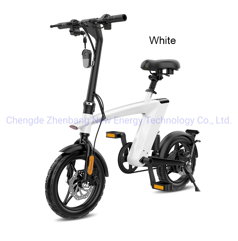 2023 Hot Sale Cheap Electric Bicycle Aluminium Alloy CE Foldable Ebike for Adult