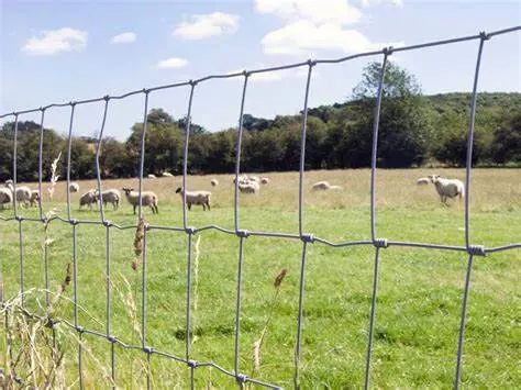 High quality/High cost performance Galvanized Wire Grassland Net Fence with Column