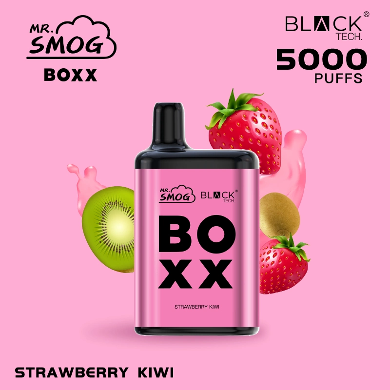 New Fashion Nicotine Free Vape Rechargeable Vape Pen Ecig 5000 Puff Mr Smog Boxx Fruit Flavor E Cigarette Mod