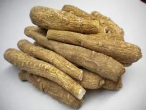 Venta caliente 100% Natural Angelica Dahrica P. E.