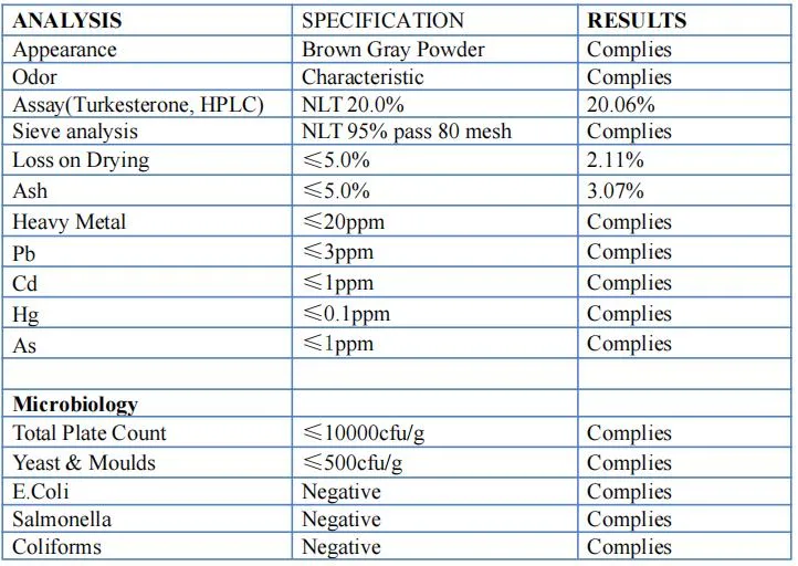 Ajuga Turkestanica Extract 10% 500mg Turkesterone Capsules