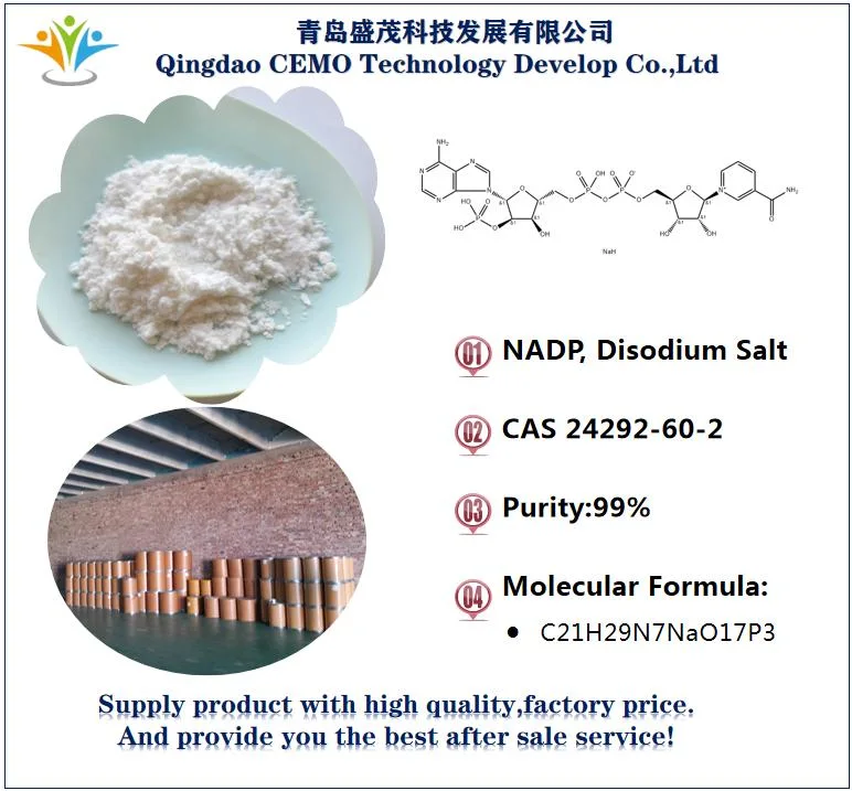 Manufacturer Coenzyme Nadp, Disodium Salt CAS 24292-60-2