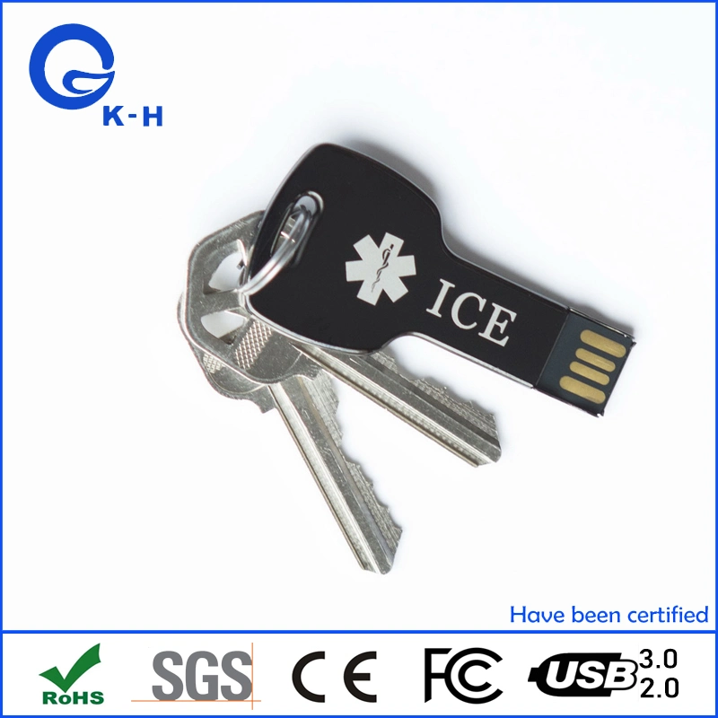 Wholesale/Suppliers Promo Metal Key Shape USB Flash Memory Stick 2.0