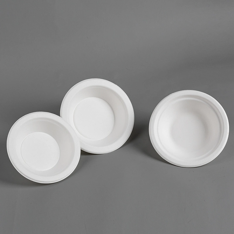 to Go Paper Plates Popular Favorable Picnic Sugarcane Bagasse Big Food Party Disposable Plates and Bowls