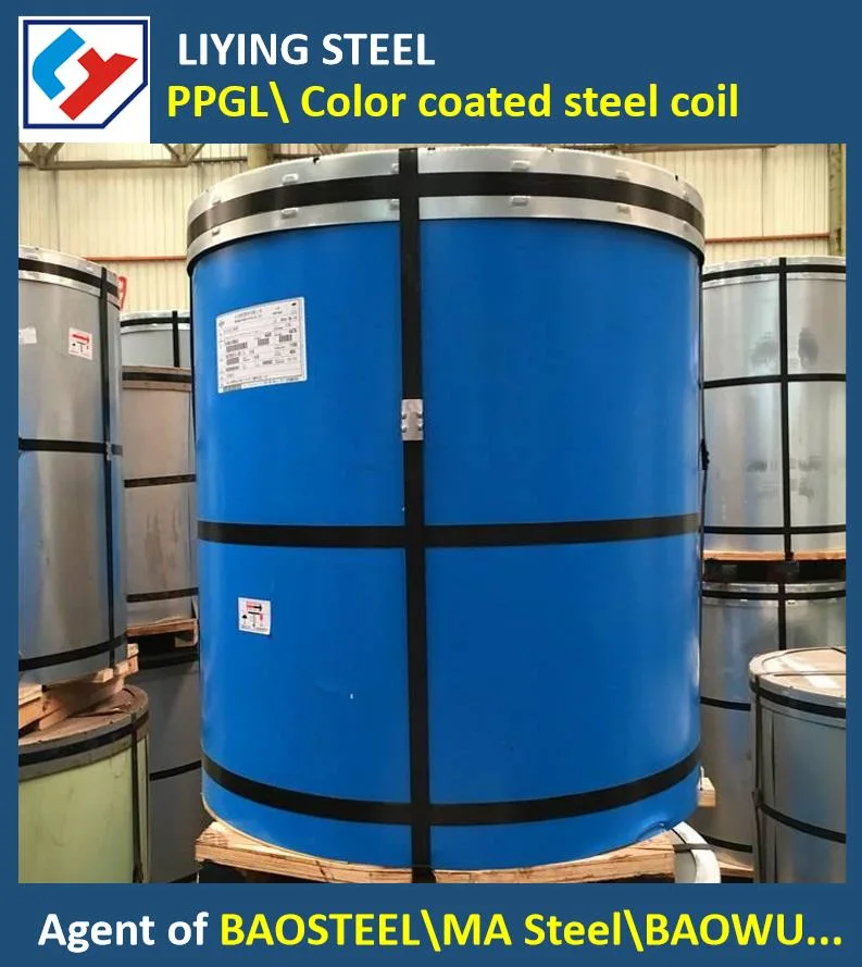 Prepainted Galvanized/Galvalume Corrugated Steel Sheet &Board