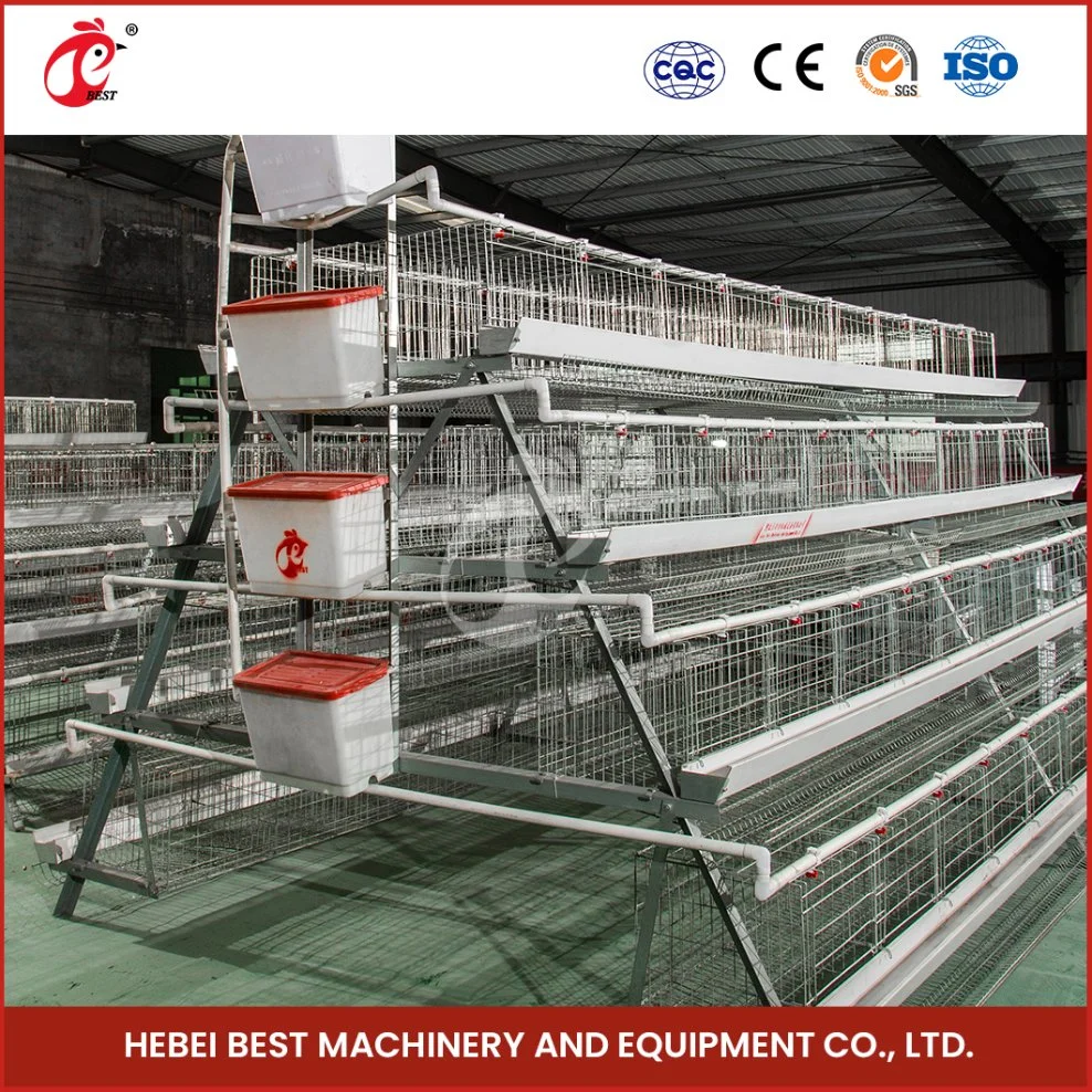 Bestchickencage Ordinary Type Layer Cage China Native Chicken Layer Cage Manufacturer ODM Custom Mature Galvanizing Process a Type Layer Cage
