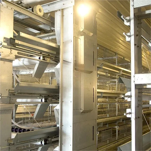 Automatisierte Geflügelfarm Ausrüstung A-Schicht-Ei-Laying Huhn Käfig mit automatischem Zuführungssystem