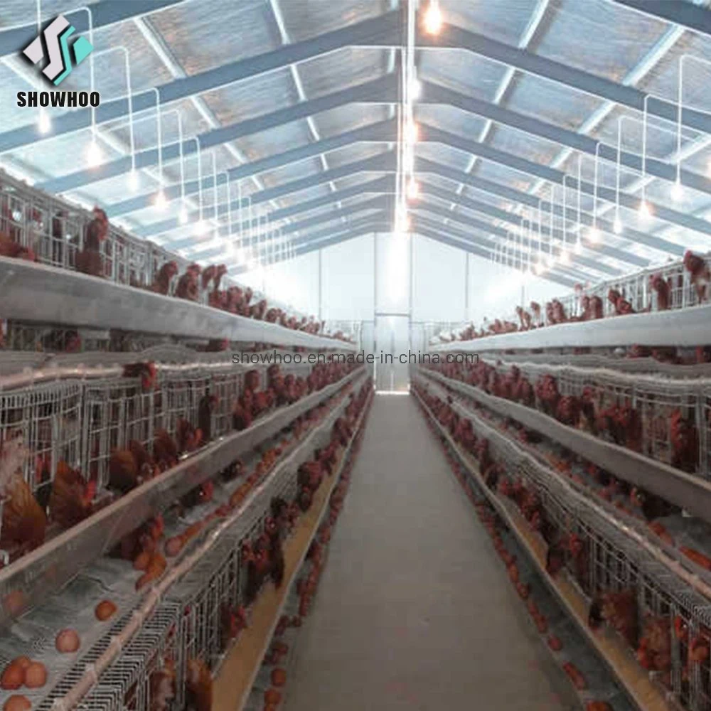 Prefabricated Steel Structure Chicken Egg Poultry Farm Design