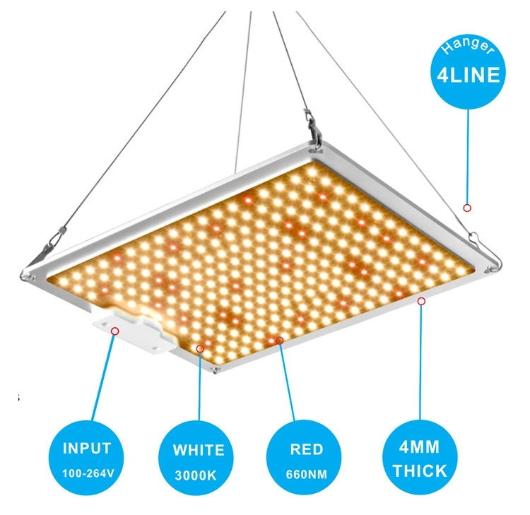 100W de haute qualité optique haute Ppfd Indoor King meilleur Quantum à spectre complet de 120 W Watt grandir la lumière à LED à gradation commerciale de la croissance des plantes de mauvaises herbes ont conduit la lumière de croissance des plantes