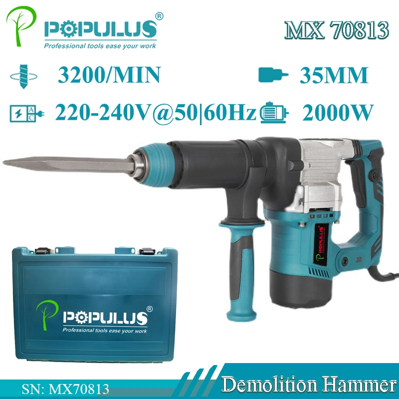 Outils électriques pour marteau de démolition Populus New arrival qualité industrielle pH65 Marteau industriel de qualité 2000 W pour le marché malaisien