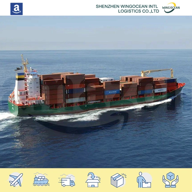 Sea Shipping From China to USA/ Canada/ Europe with The Competitive Offer and Best Service