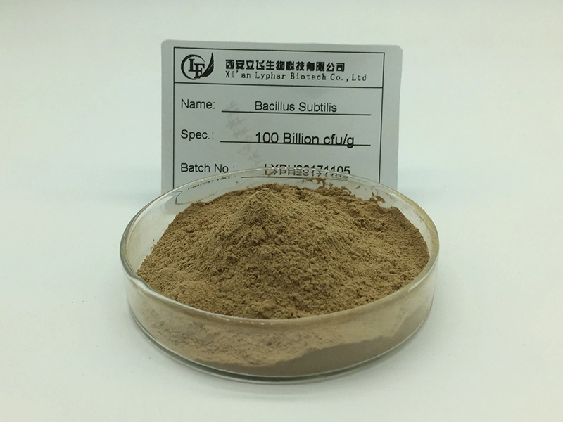 Hot Sell Bacillus Subtilis Probiotic Powder