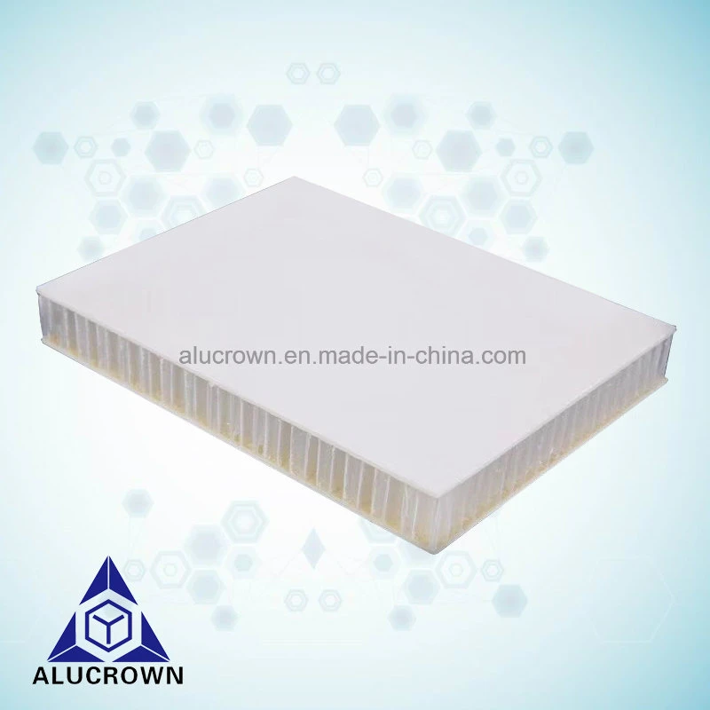 Customized Fiberglass PP Honeycomb Panel for Caravan