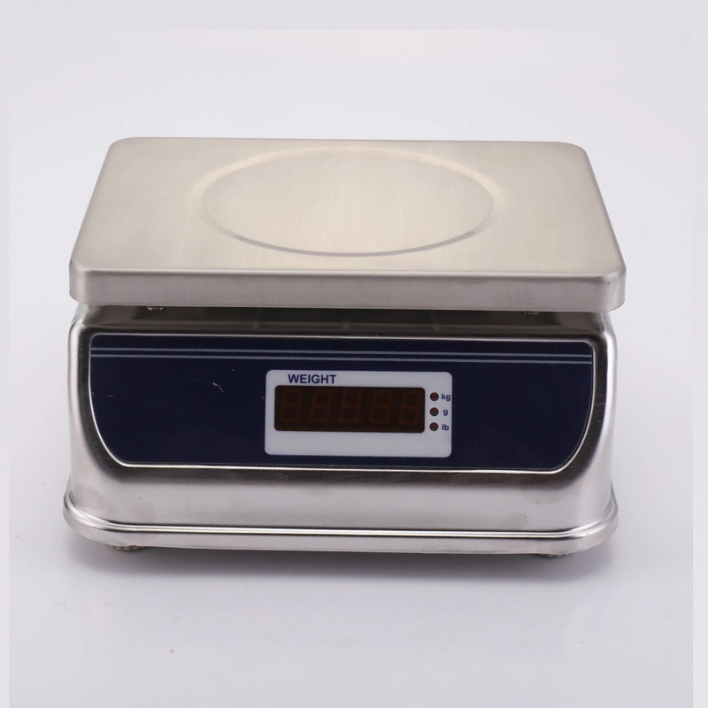 Stainless Steel Waterproof Portable Scale for Seafood High Precision Load Scale