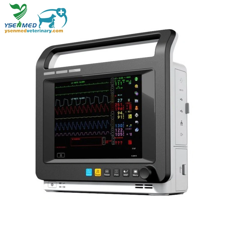 Medical Equipment Yspm-A10V Multi-Parameter Veterinary Monitor with 12 Inch Touch Screen