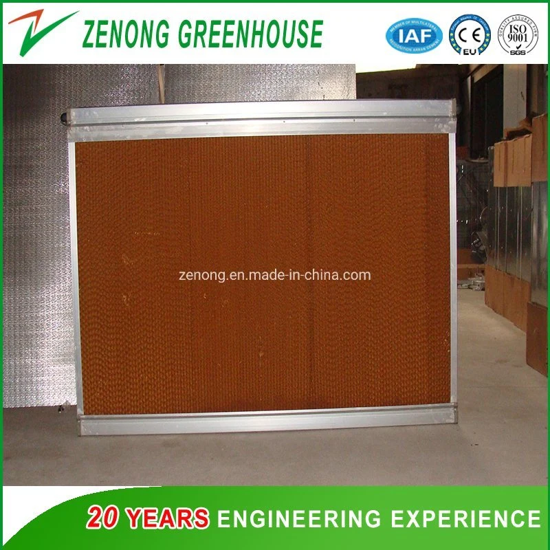 Water Cooling Pads/Evaporative Cooling Fan/Ventilation Fans/Exhausted Fan for Greenhouse/Livestock