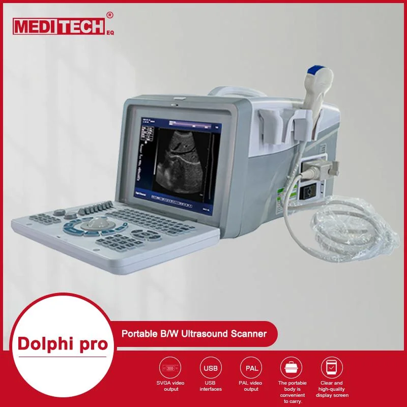 Medical Device Portable B/W Ultrasound Scanner Display USB Port to Transfer Data