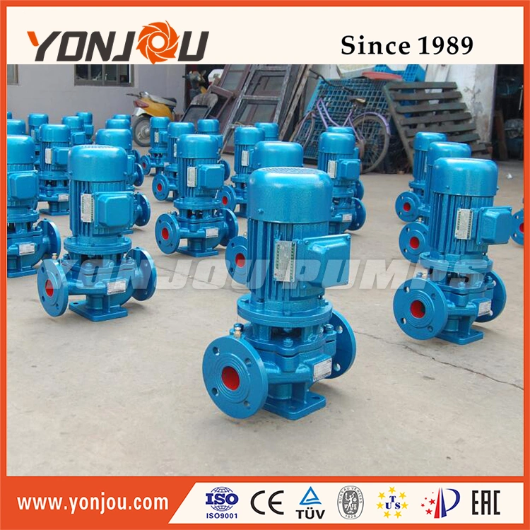 Stainless Steel Pipeline Booster Marine Motor Vertical Centrifugal Water Pump