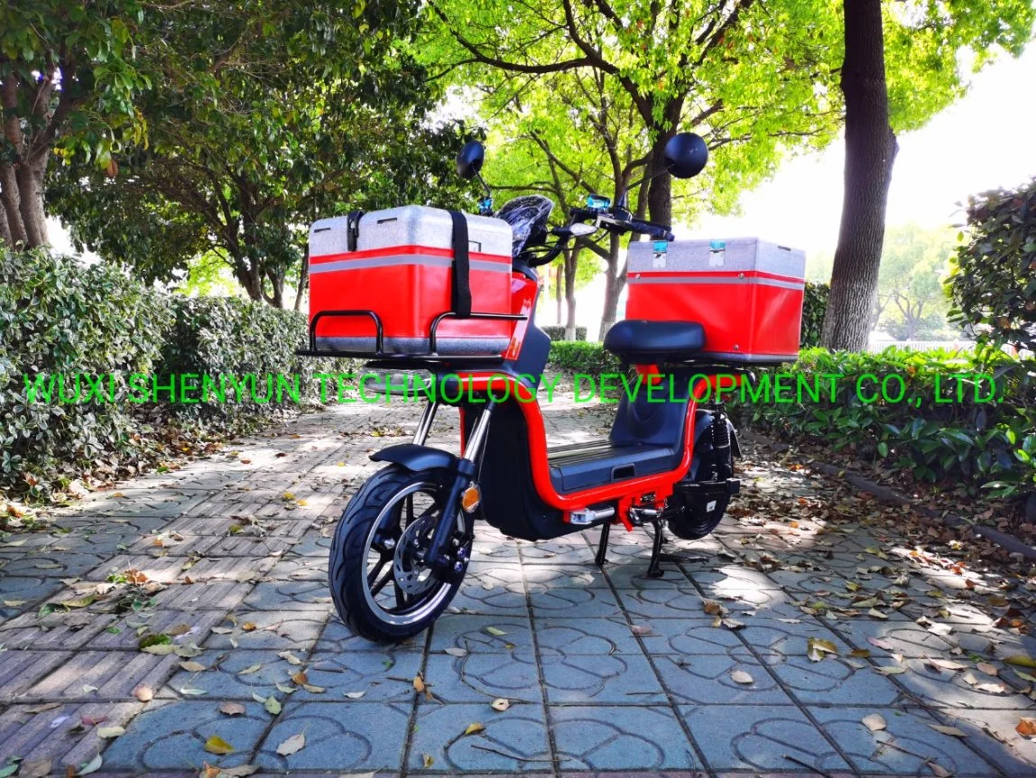 Syev Take-out Electric Motorcycle/Scooter 72V20ah Lead-Acid Battery 800W Motor