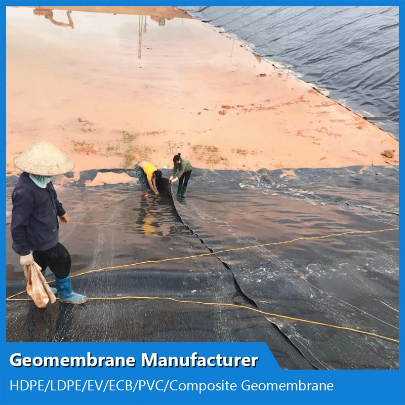 3mm Thickness GM13 Standard HDPE Plastic Geomembrane Sheet for Large Fish Ponds Farm Tank