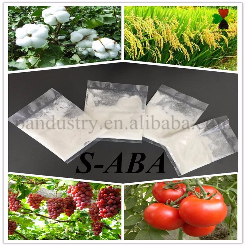 Venta caliente regulador del crecimiento de la planta de ácido abscísico S-ABA S-ácido abscísico 95%90%Tc Tc 10%SP